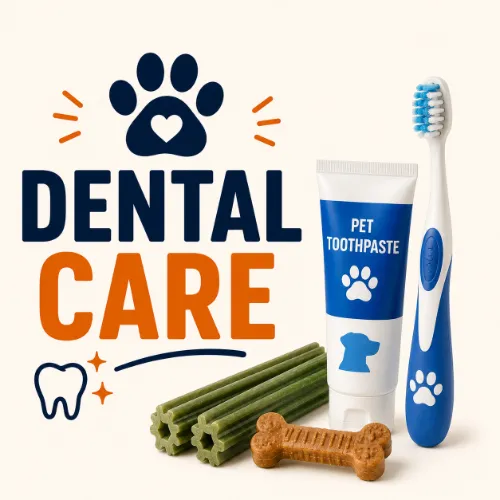 Dental Care