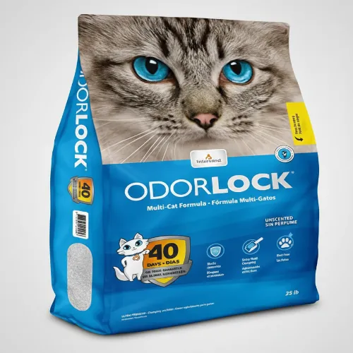 Intersand Odorlock Unscented Cat Litter 1ea/13.2 lb - Product Image