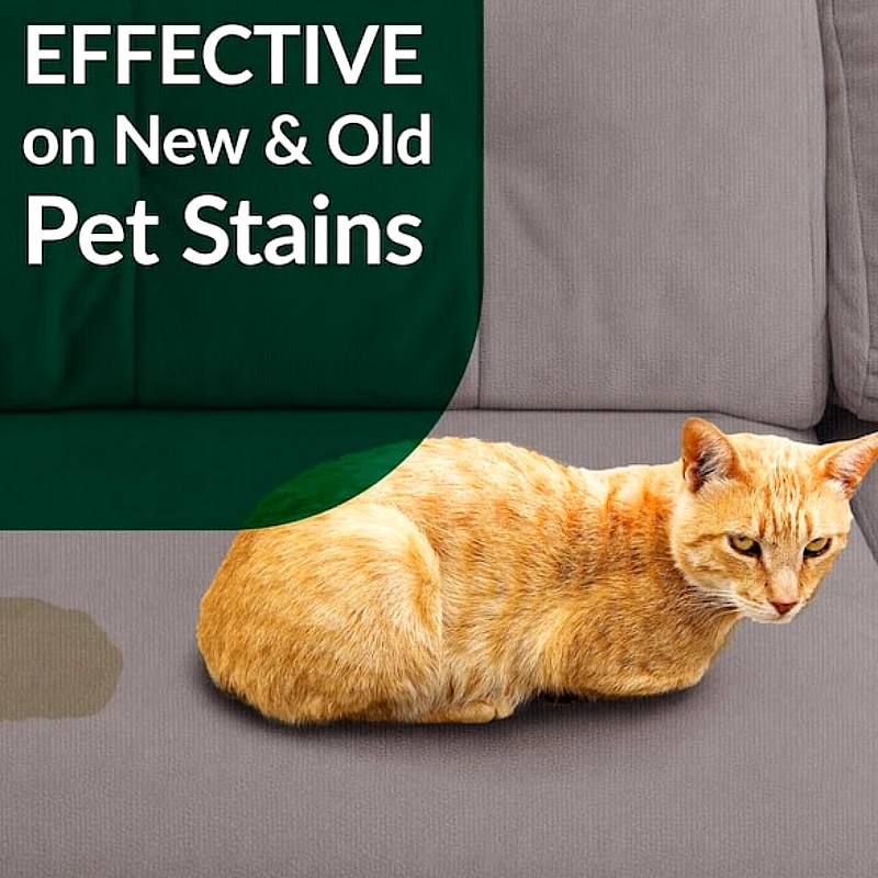 128-oz-cat-pet-stain-and-odor-remov_1062_r82g.webp