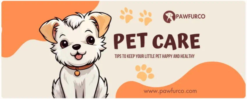 PawFurCo - Promotional Banner 1